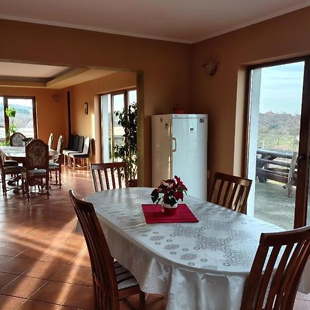Viile Satu Mare Vis Pension מראה חיצוני תמונה