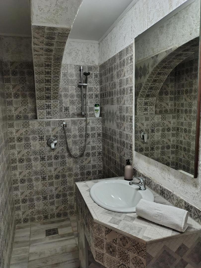 Viile Satu Mare Vis Pension מראה חיצוני תמונה