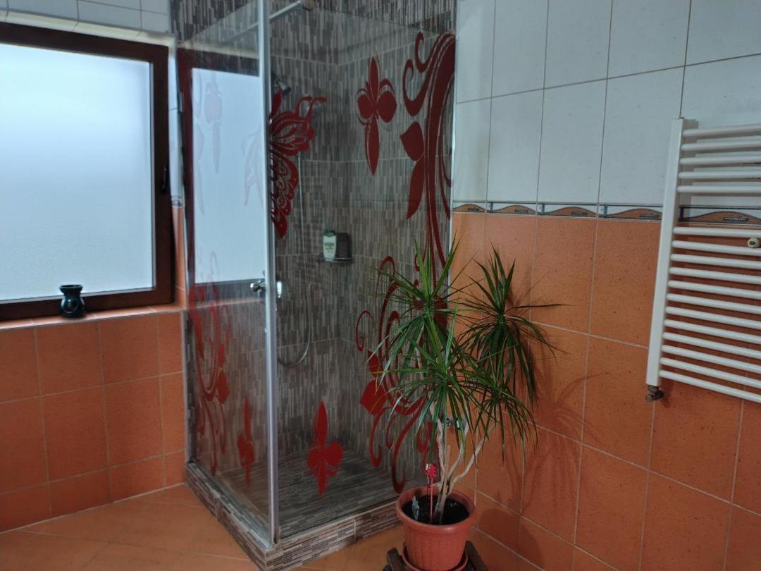 Viile Satu Mare Vis Pension מראה חיצוני תמונה