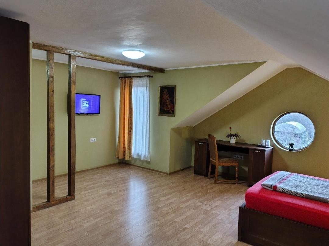 Viile Satu Mare Vis Pension מראה חיצוני תמונה