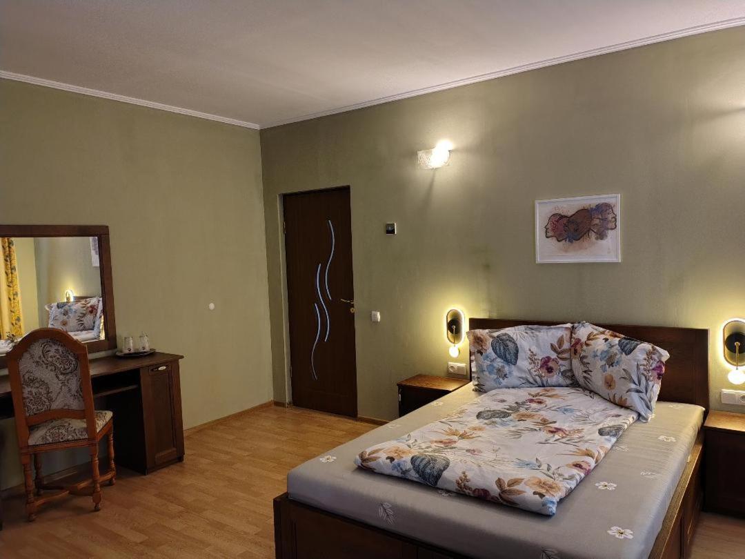 Viile Satu Mare Vis Pension מראה חיצוני תמונה