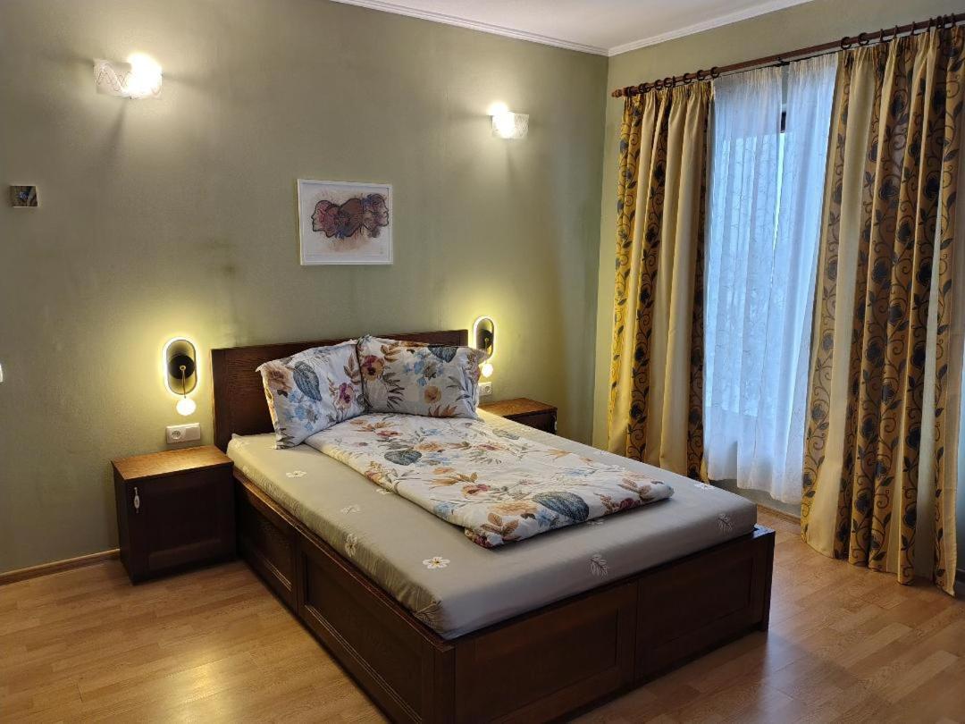 Viile Satu Mare Vis Pension מראה חיצוני תמונה