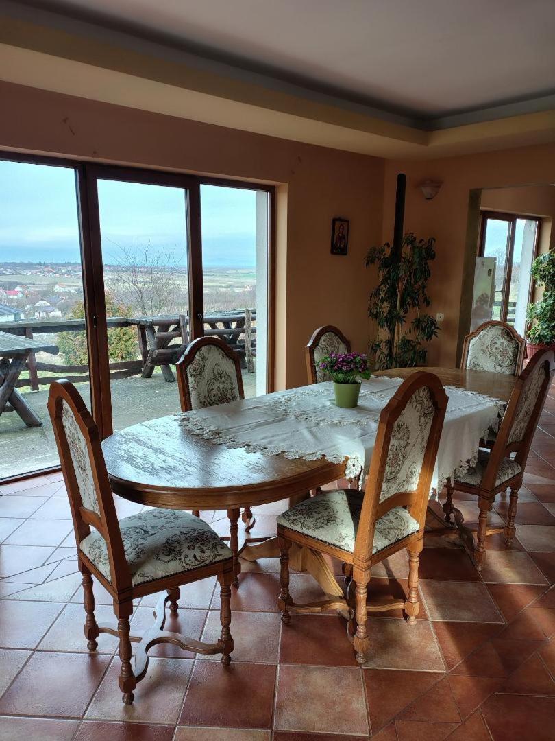 Viile Satu Mare Vis Pension מראה חיצוני תמונה