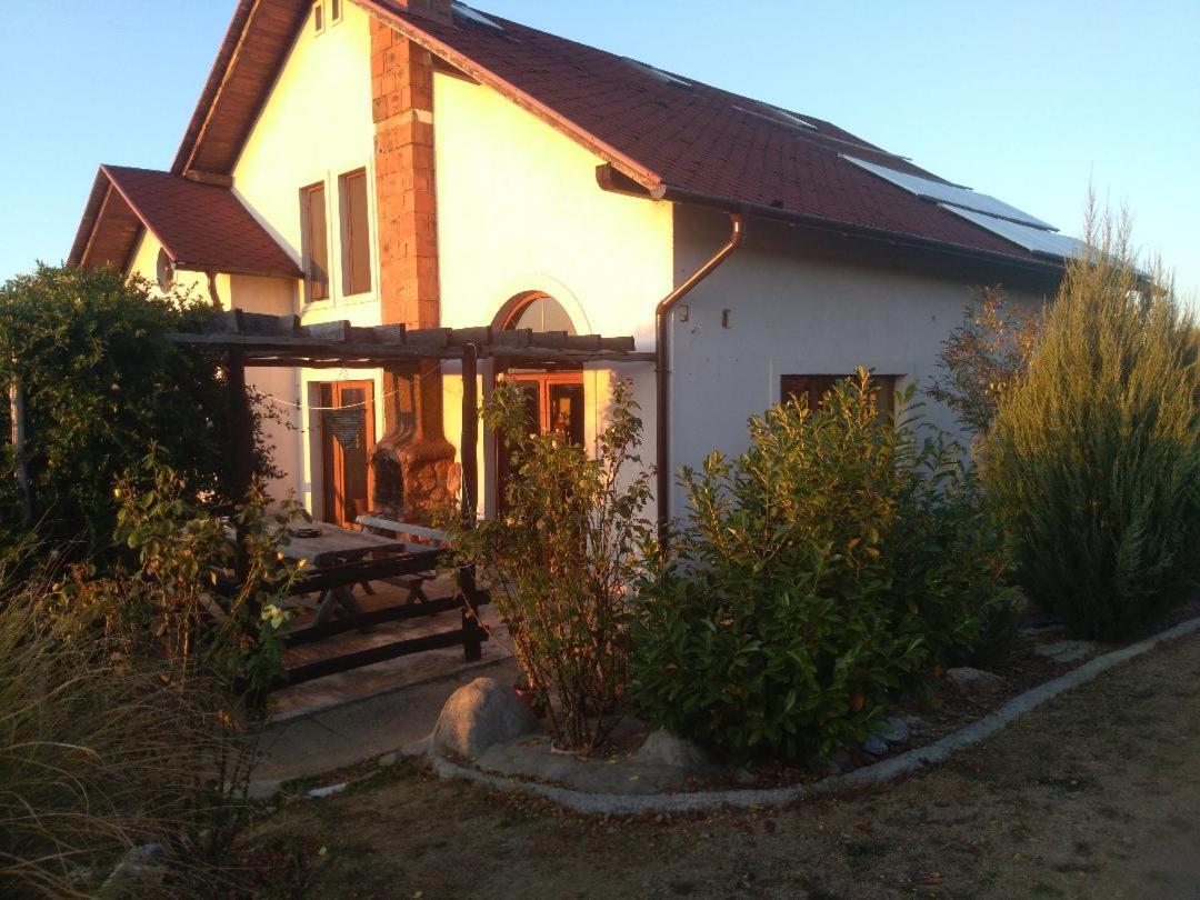 Viile Satu Mare Vis Pension מראה חיצוני תמונה