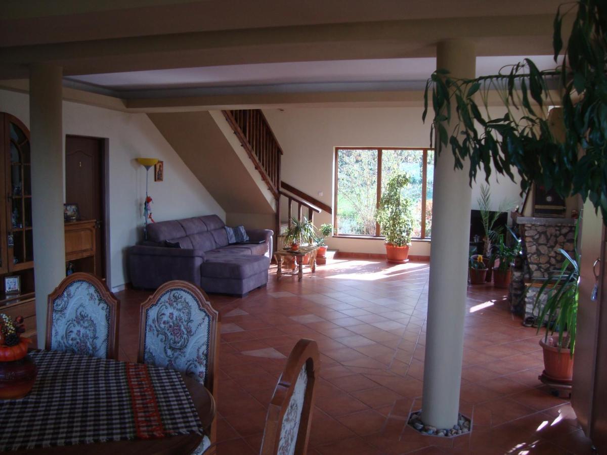 Viile Satu Mare Vis Pension מראה חיצוני תמונה