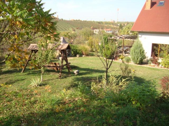 Viile Satu Mare Vis Pension מראה חיצוני תמונה