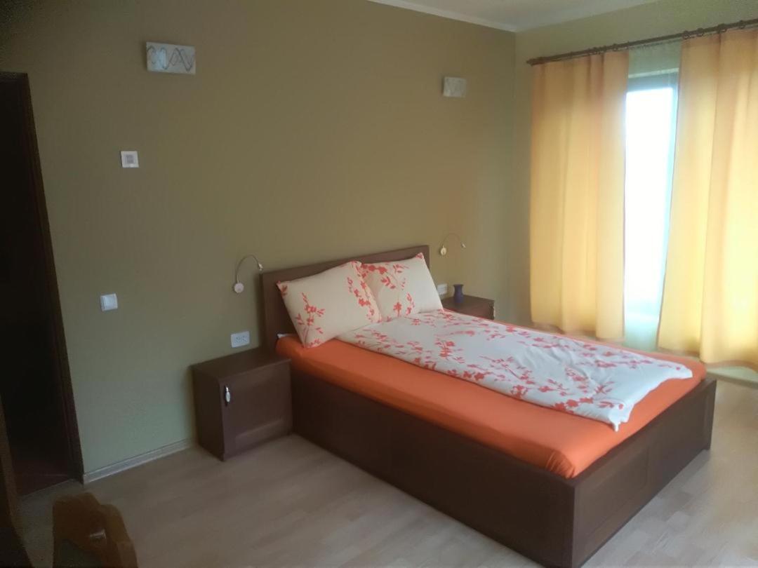 Viile Satu Mare Vis Pension מראה חיצוני תמונה