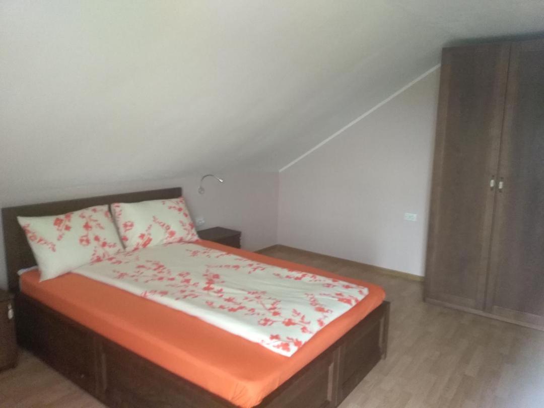 Viile Satu Mare Vis Pension מראה חיצוני תמונה