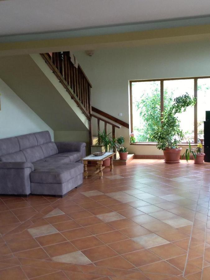 Viile Satu Mare Vis Pension מראה חיצוני תמונה