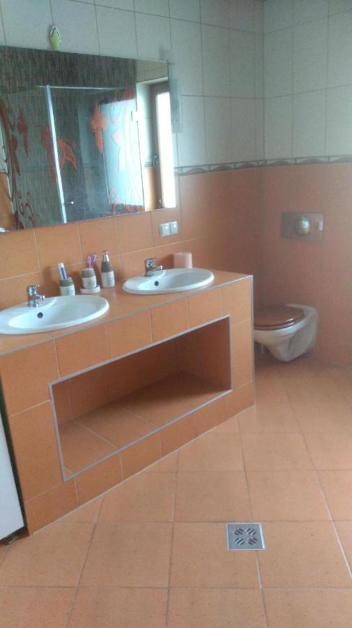 Viile Satu Mare Vis Pension מראה חיצוני תמונה