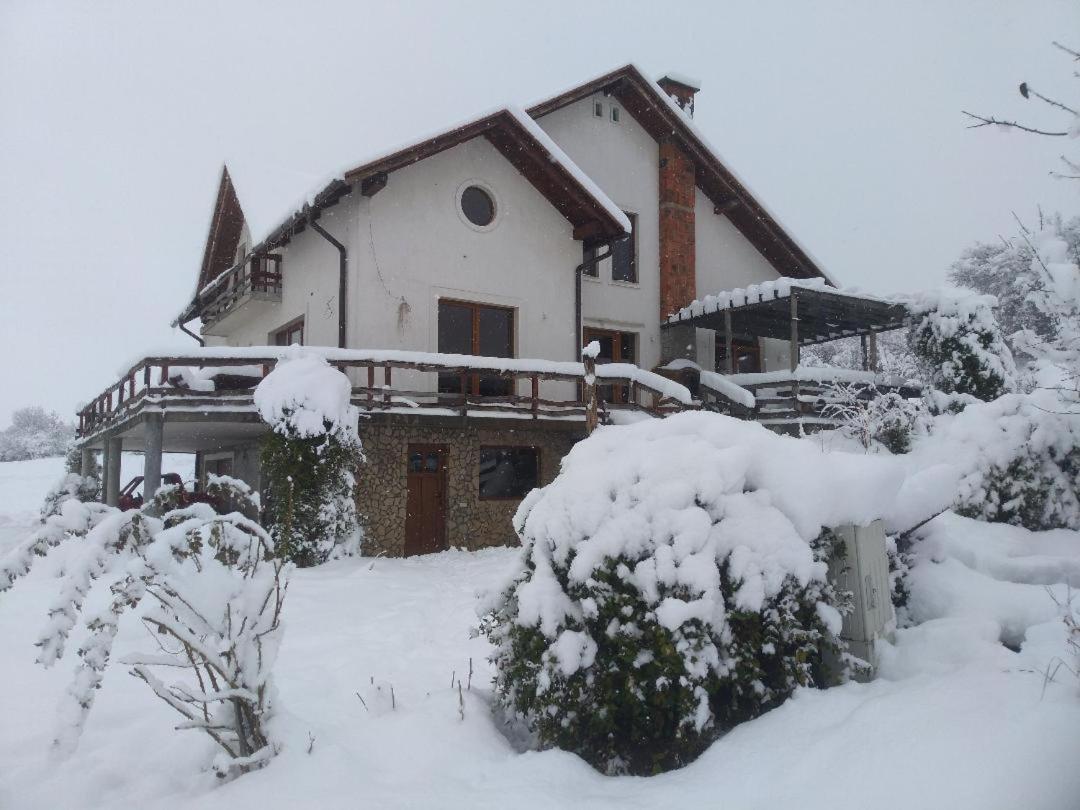 Viile Satu Mare Vis Pension מראה חיצוני תמונה