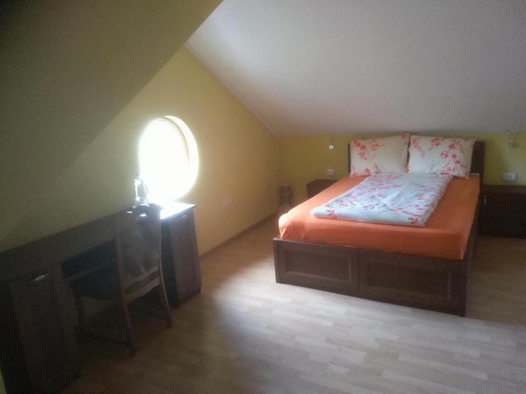 Viile Satu Mare Vis Pension מראה חיצוני תמונה