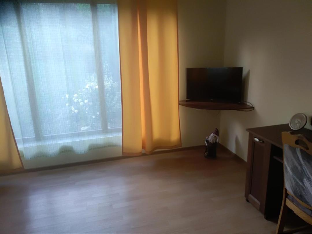 Viile Satu Mare Vis Pension מראה חיצוני תמונה