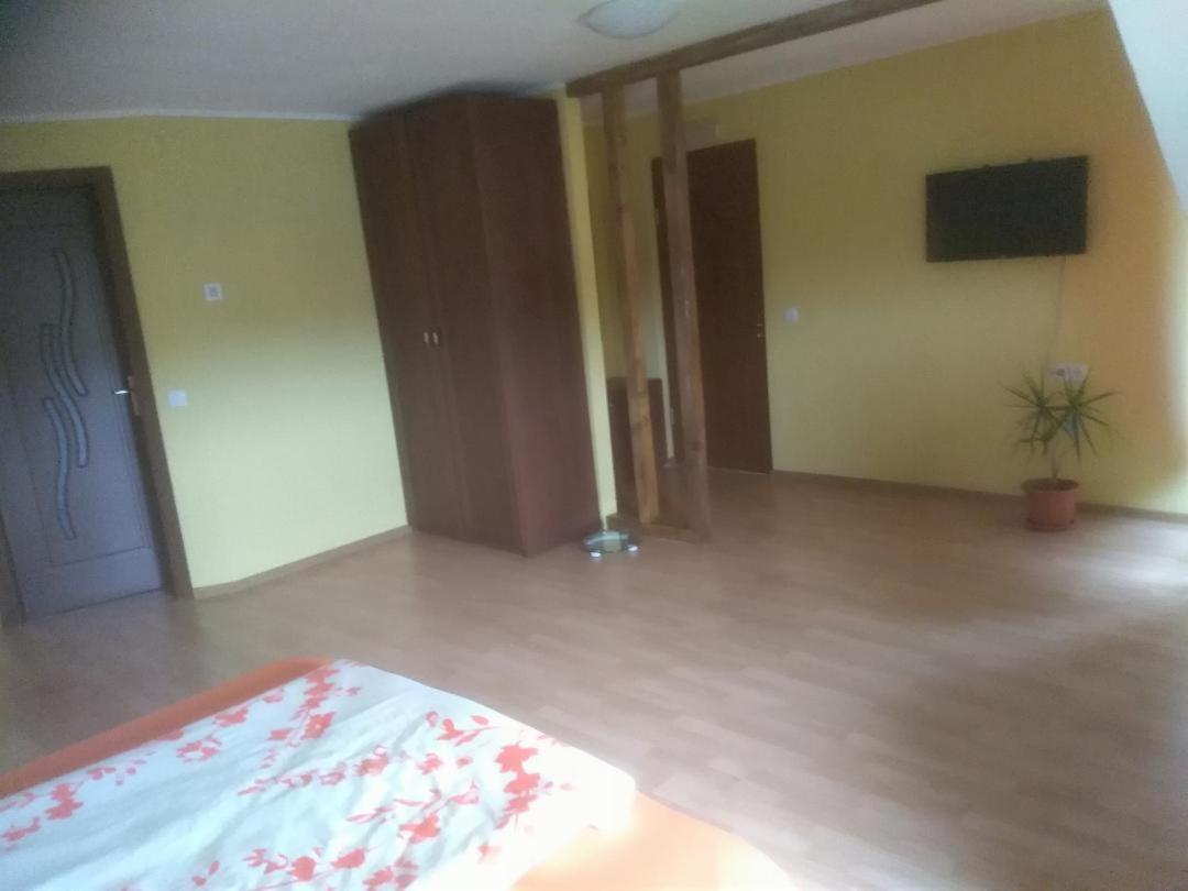 Viile Satu Mare Vis Pension מראה חיצוני תמונה