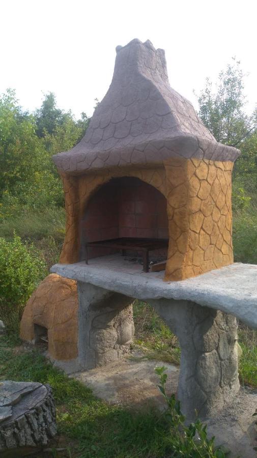 Viile Satu Mare Vis Pension מראה חיצוני תמונה