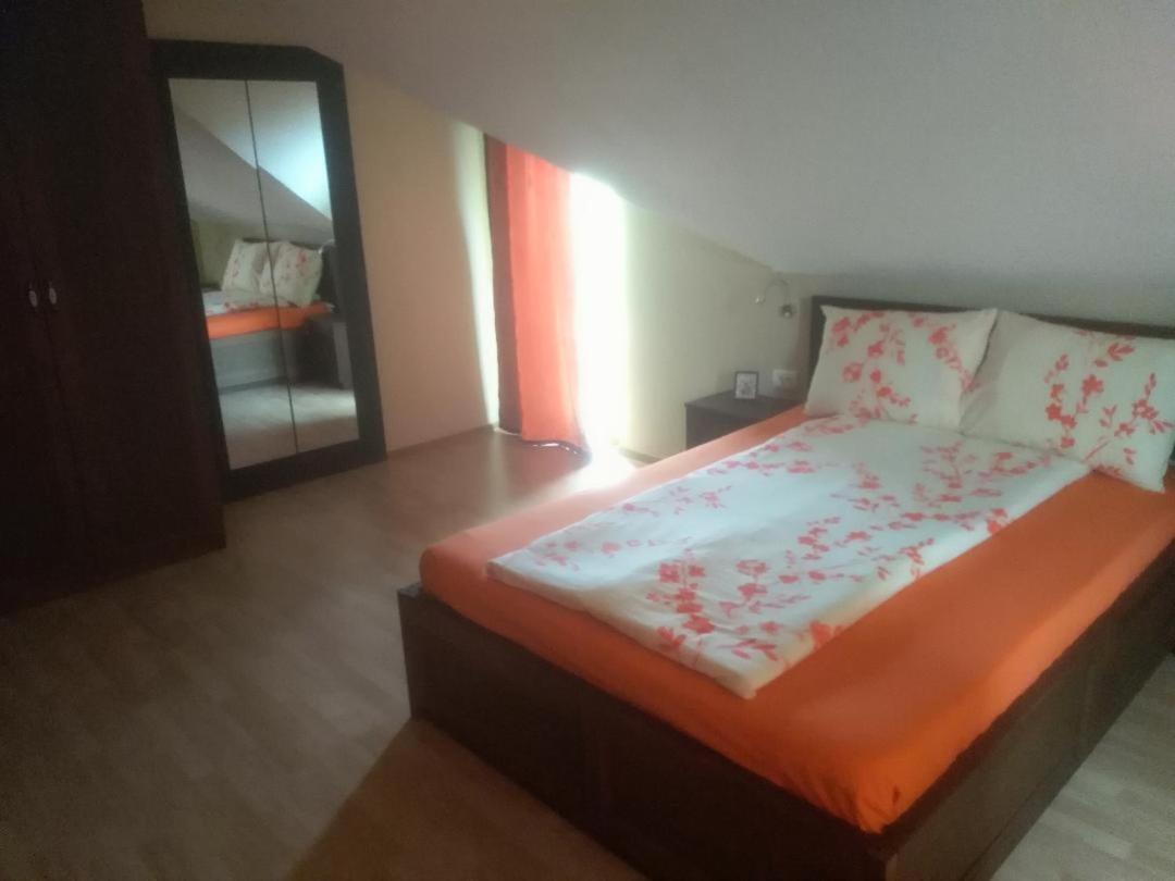 Viile Satu Mare Vis Pension מראה חיצוני תמונה