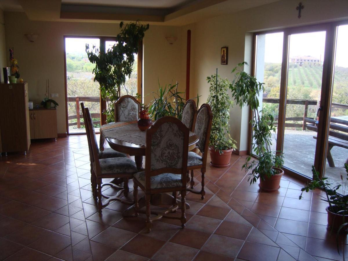 Viile Satu Mare Vis Pension מראה חיצוני תמונה